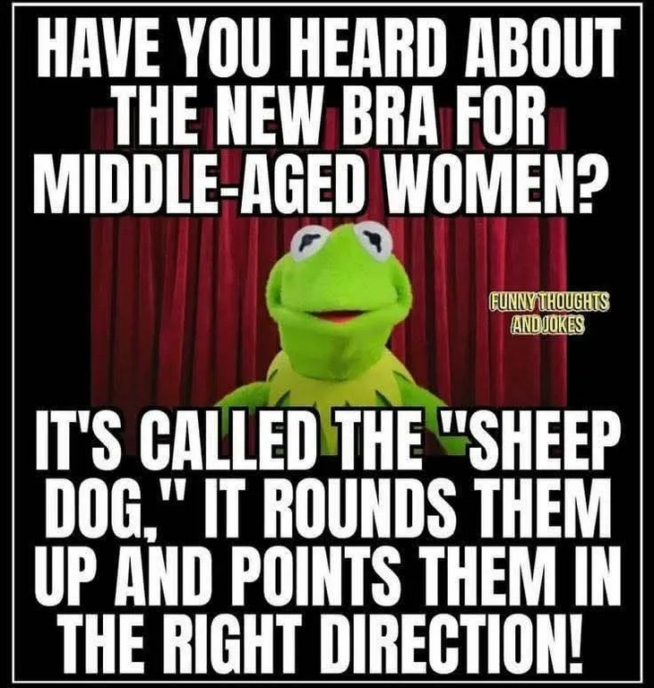 image.thumb.png.01c779fa20d058fec1d9169f8a4849fb.png