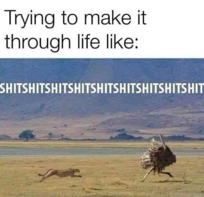 image.png.76e6a1760990b213ce45a929417b1332.png