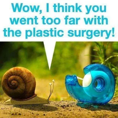 image.png.e250383e49d26c324848dbd8859b5f44.png