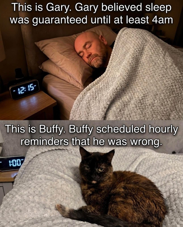image.thumb.png.93e7bd1189ab45b915873d198b675849.png