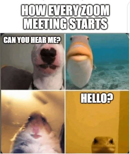 image.png.7a256d7f0e842906ad6f7488c01574d6.png
