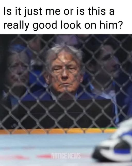 image.png.92c496cf519dc9b16d9af4a3f8334f0e.png