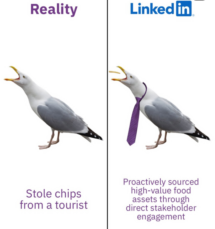 image.thumb.png.59724a8757b2d1d2b465a32b1774aaa8.png