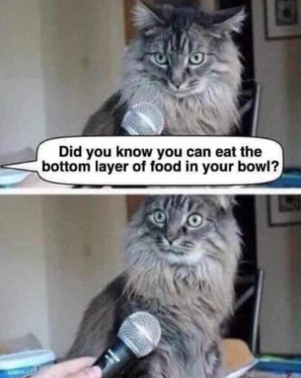 image.thumb.png.c6fc940d1df33335e24936297c62ad03.png