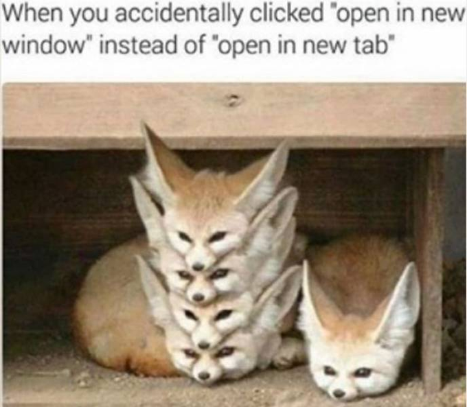 HN7wOOQXgAAmEVP.png.1854af271c884f0a4566