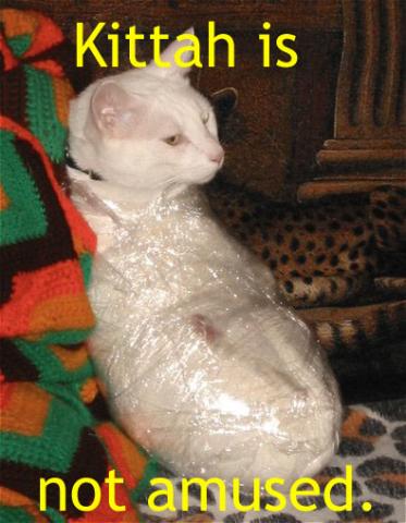 post-108813-1119323485_thumb.jpg