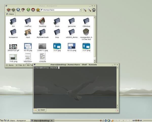 post-13493-1110085734_thumb.jpg