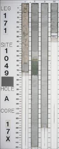 post-148485-1201471272_thumb.jpg