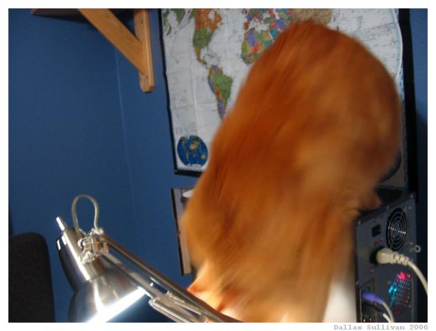 post-31490-1136607394_thumb.jpg