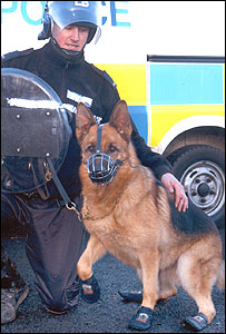 Police dogs get boots Real World News Neowin