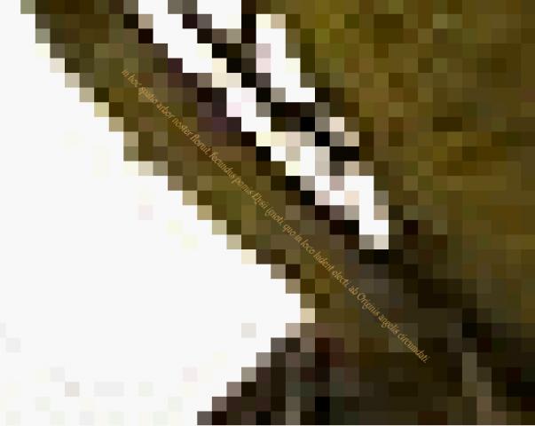 post-7596-1126047000_thumb.jpg