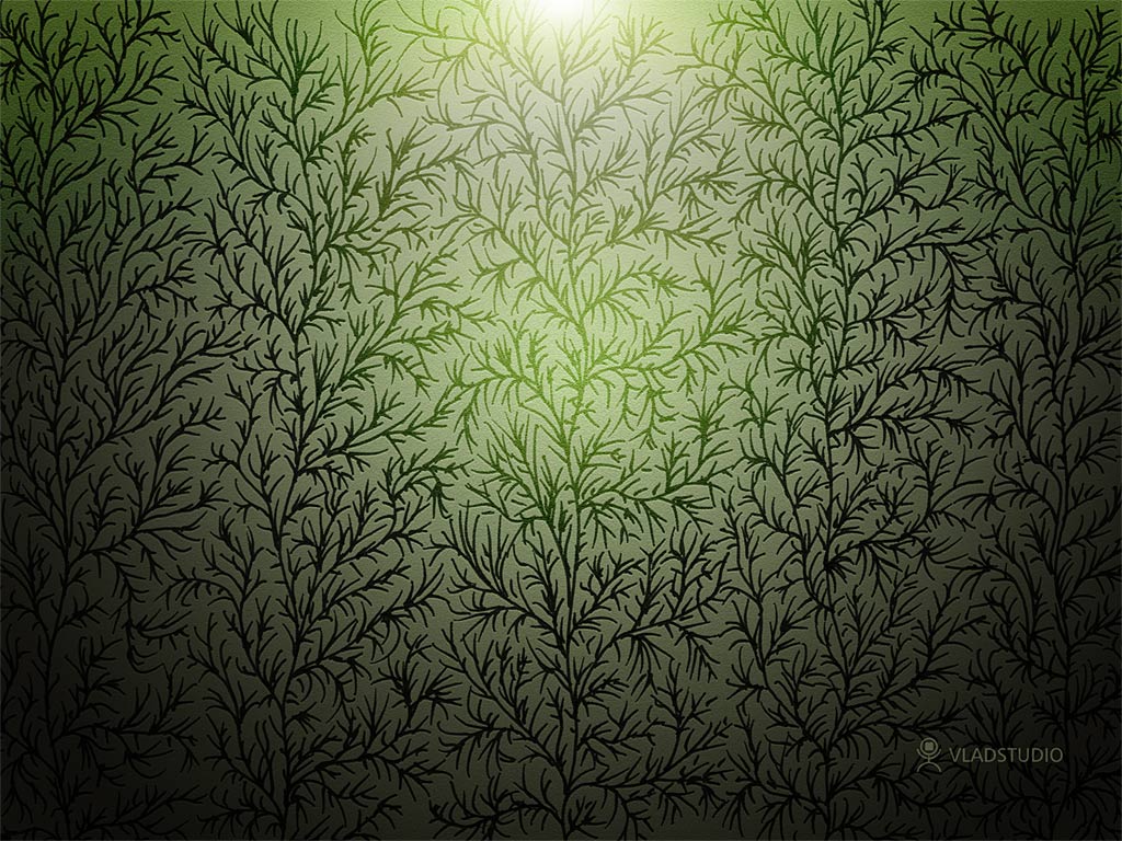 [wallpaper] 5 trees - Tips, Tweaks & Customization - Neowin