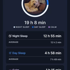 1754235729_screenshot_20250723_143100_tractive.webp