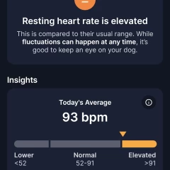 1754235738_screenshot_20250723_143149_tractive.webp