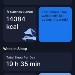1754235773_screenshot_20250723_143328_tractive.webp
