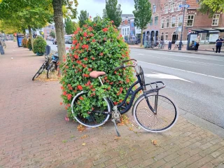 1757940863_img_20250911_152650.webp