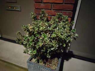 1757940982_img_20250912_001549.webp