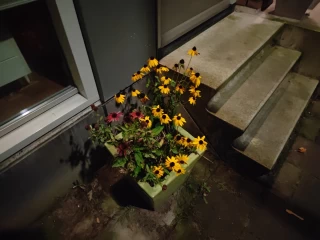 1757940985_img_20250912_001611.webp