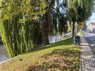 1760194455_img_20251001_122946.webp