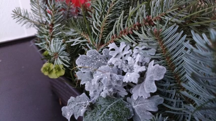 1763654397_img_20251120_163746_660.webp