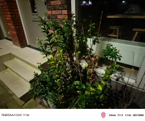 1769284652_img_20260124_204231.webp