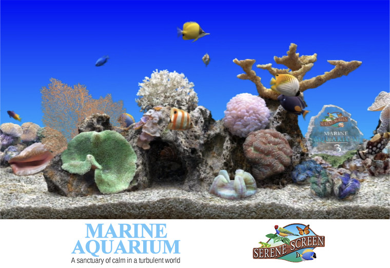 serene marine aquarium screensaver free download