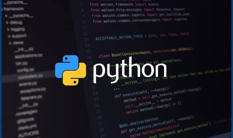 python logo