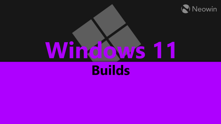 Windows 11 Builds written in the middle with an equally split black and purple background