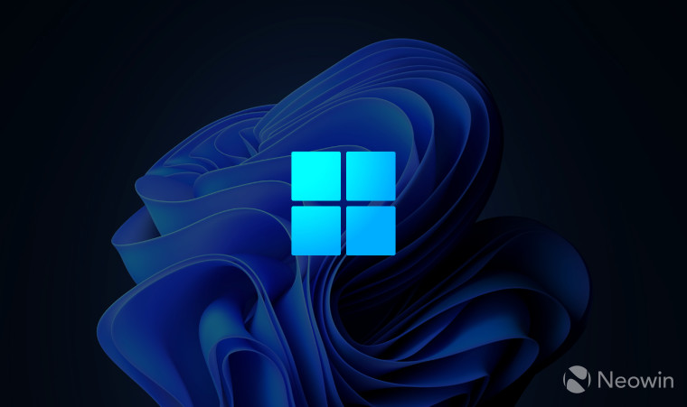 The Windows 11 logo with the stock wallpaper on the background