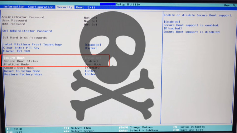 Secure boot toggle screen with a skull danger sign on top