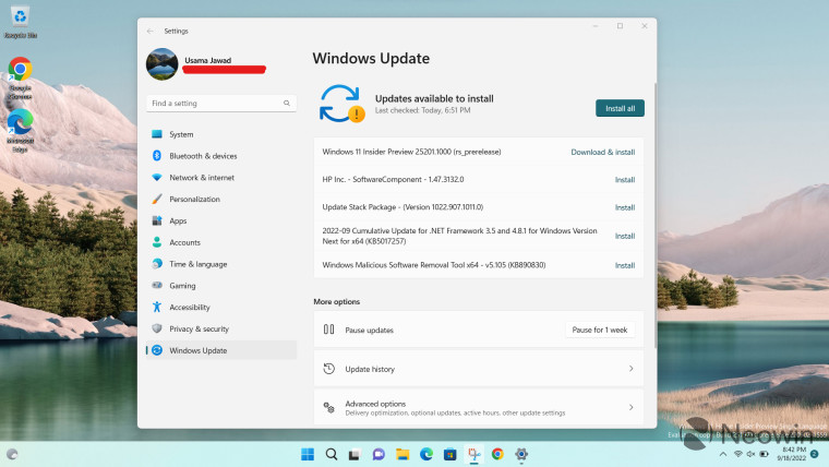 A screenshot of Windows Update open on Windows 11