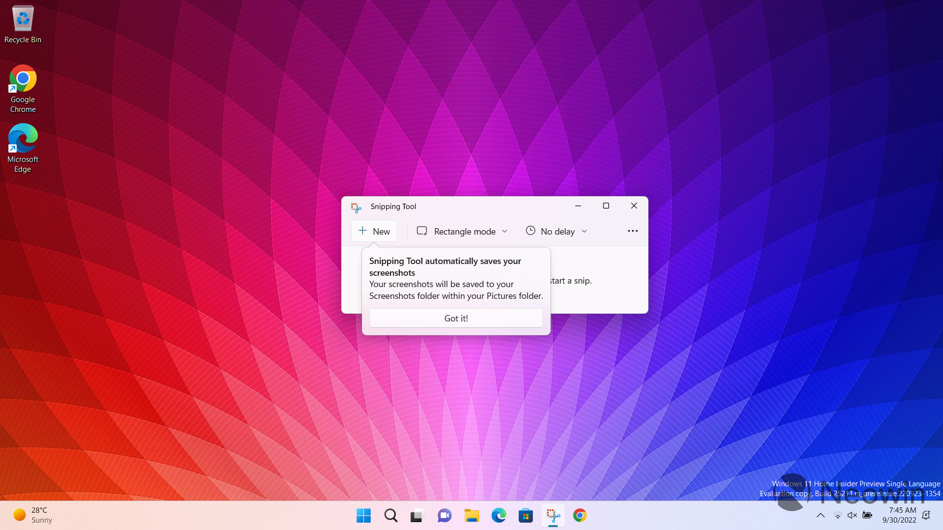 Windows 11 Dev Channel build 25211 lets Snipping Tool automatically ...