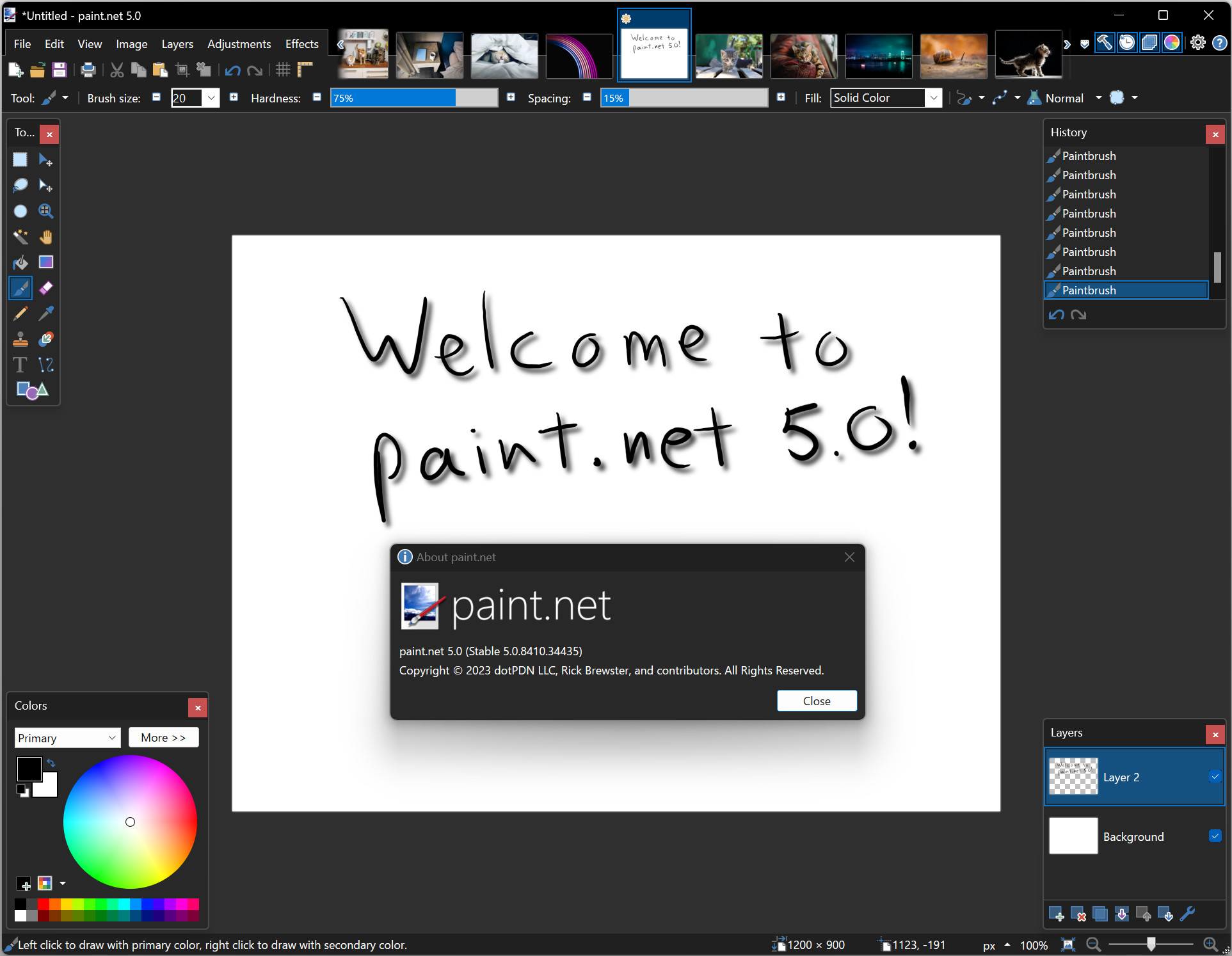 Paint.NET 5.0.12 download the new version