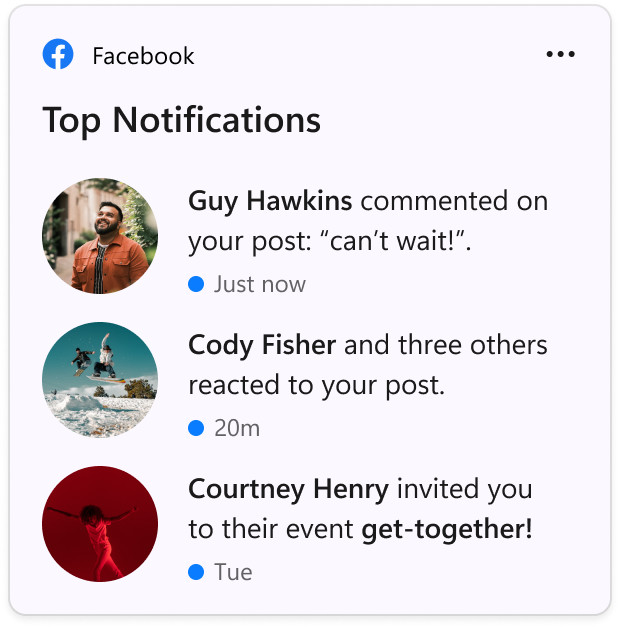 The Facebook widget.