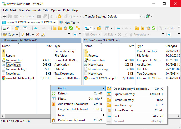 WinSCP 6.1.1 download the new for ios