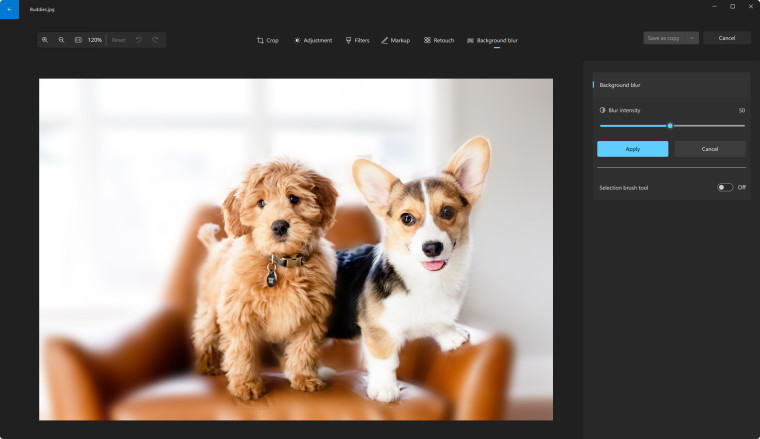 Screenshot showing background blur feature of Microsoft Photos in action