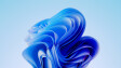 The default Windows 11 365 Bloom wallpaper