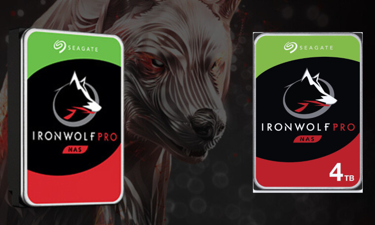 4TB Seagate IronWolf Pro CMR NAS HDDs are at their lowest prices