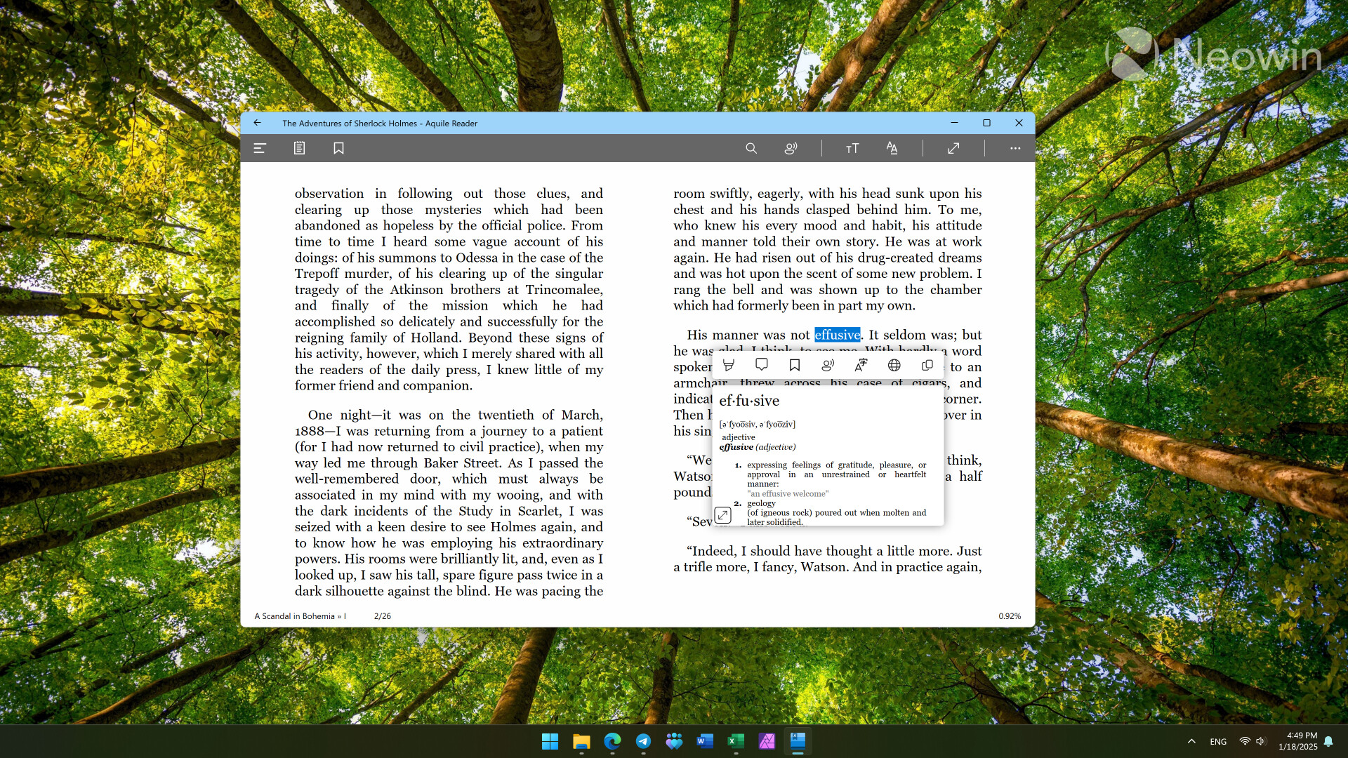 Aquile Reader in Windows 11