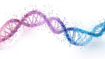 dna sequence shattering