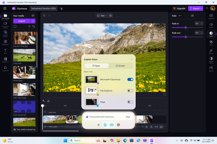 Copilot Vision in Windows 11