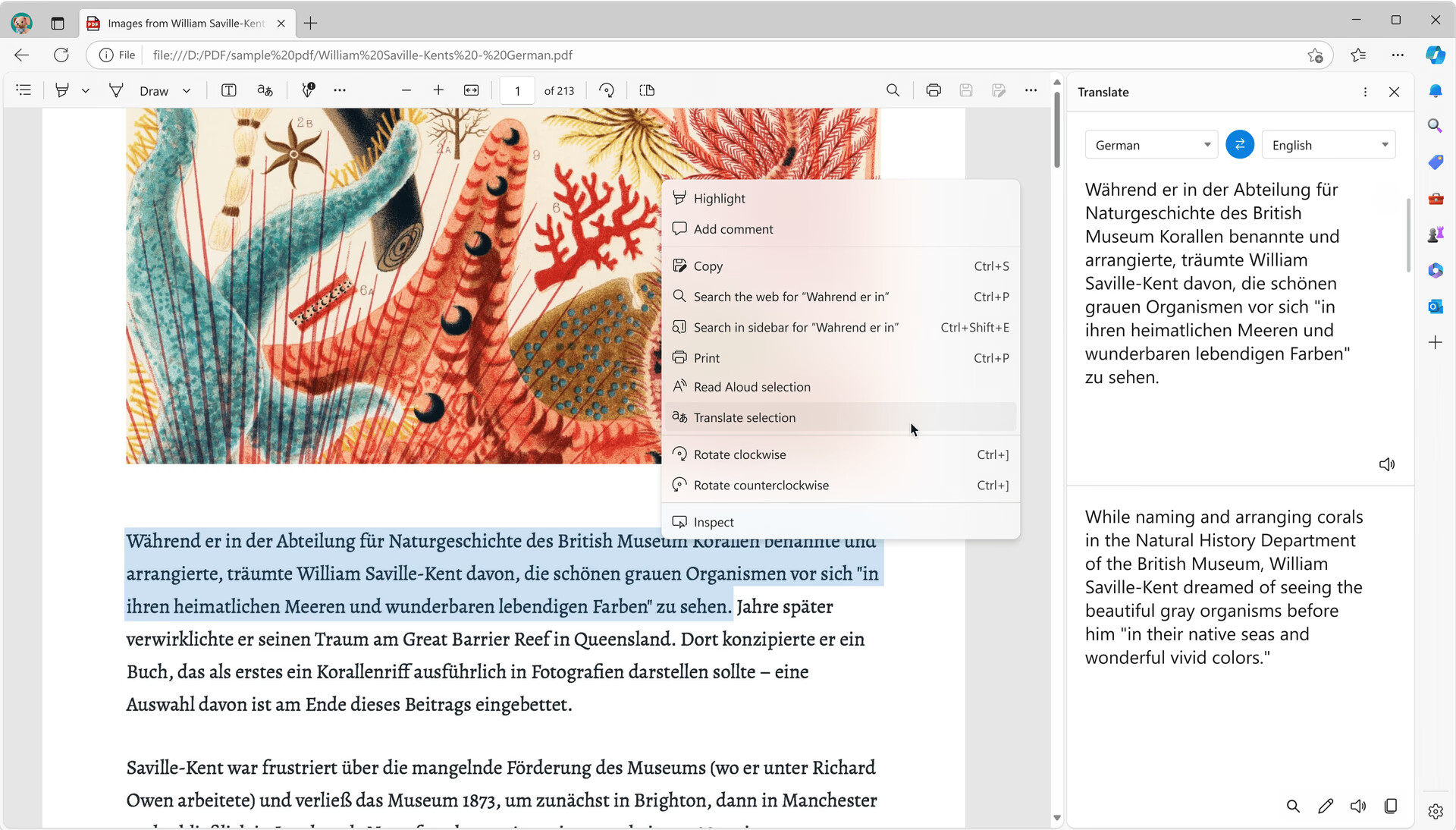 PDF translation feature on Edge