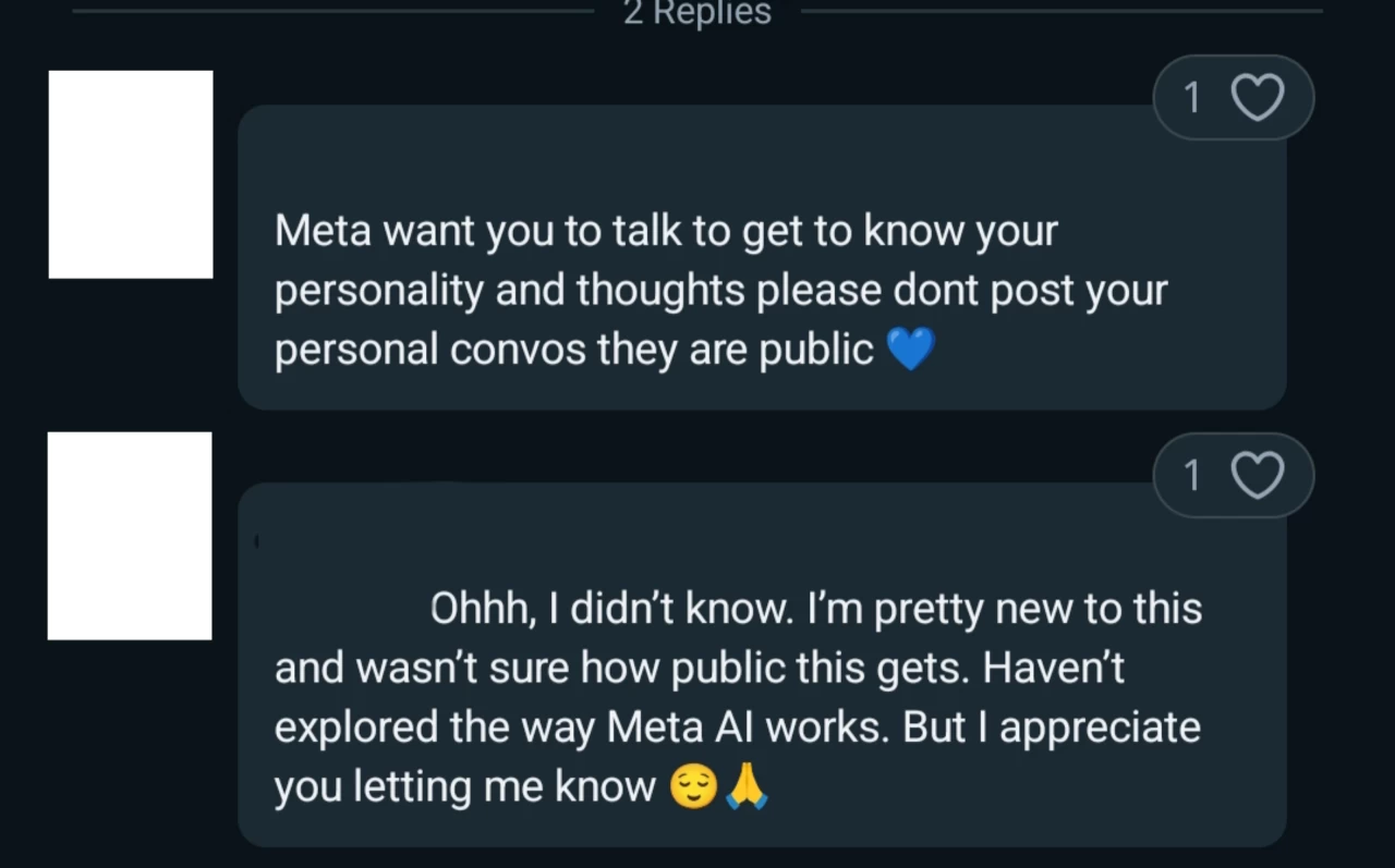 Meta AI user thanking another user for letting him know about public chats