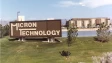 Micron logo