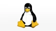 Tux the Linux mascot