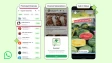 Ads in WhatsApp