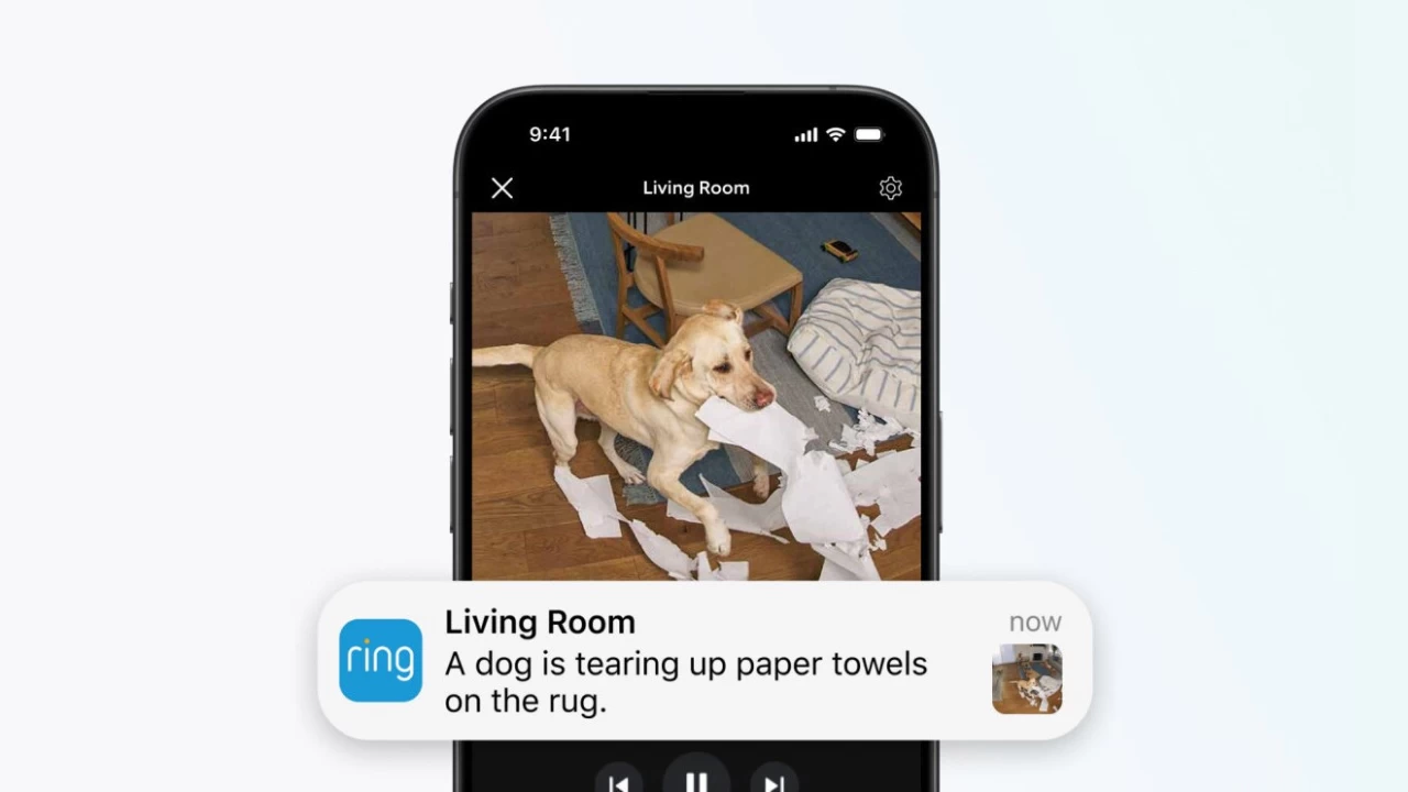 Video Descriptions on the Ring doorbell
