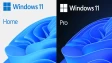windows 11 pro or home license