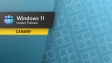 Windows 11 Canary Channel Update