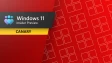 Windows 11 Canary Channel Update